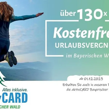 公寓 Winklworld 2 Mit Hallenbad Und Sauna Inklusive Aktivcard