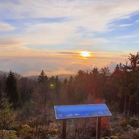 Winklworld 2 Mit Hallenbad Und Sauna Inklusive Aktivcard 公寓
