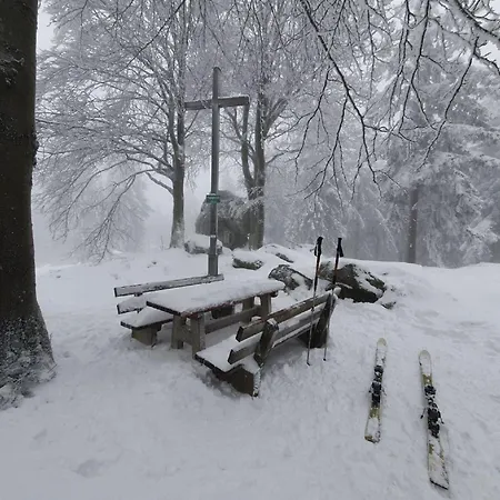 شقة Winklworld 2 Mit Hallenbad Und Sauna Inklusive Aktivcard *