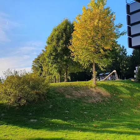 公寓 Winklworld 2 Mit Hallenbad Und Sauna Inklusive Aktivcard