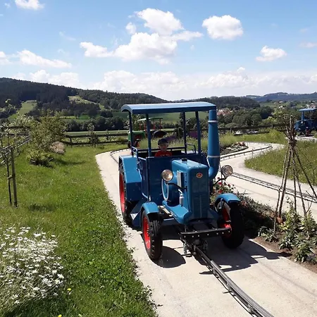 Winklworld 2 Mit Hallenbad Und Sauna Inklusive Aktivcard * 圣恩吉玛