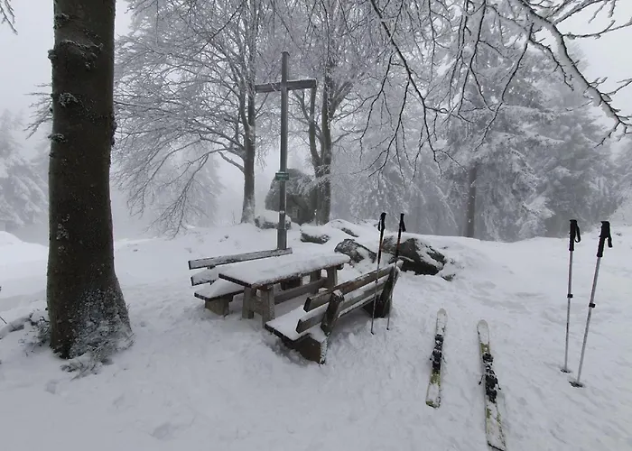 Lejlighed Winklworld 2 Mit Hallenbad Und Sauna Inklusive Aktivcard *